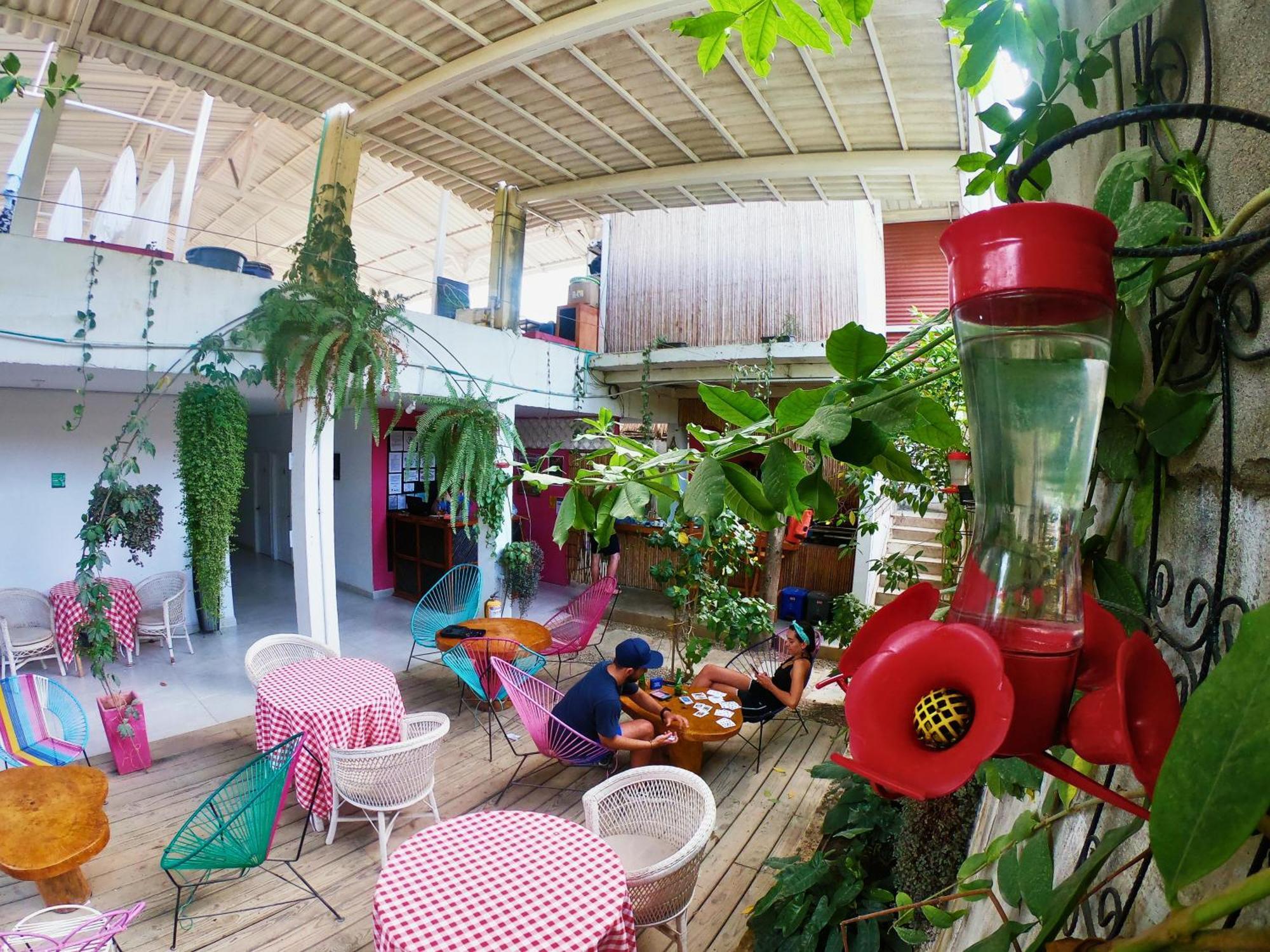 Casa Colibri Palomino Hotel Ngoại thất bức ảnh