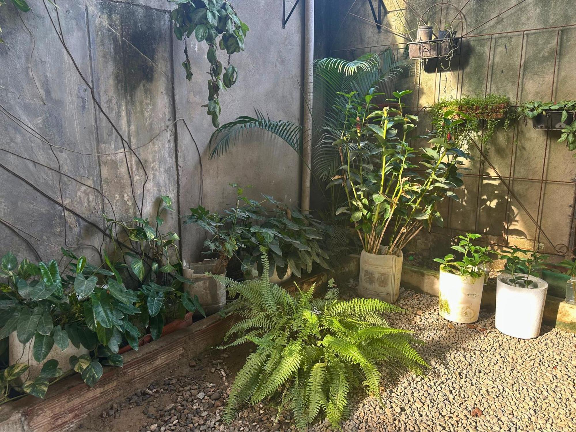Casa Colibri Palomino Hotel Ngoại thất bức ảnh